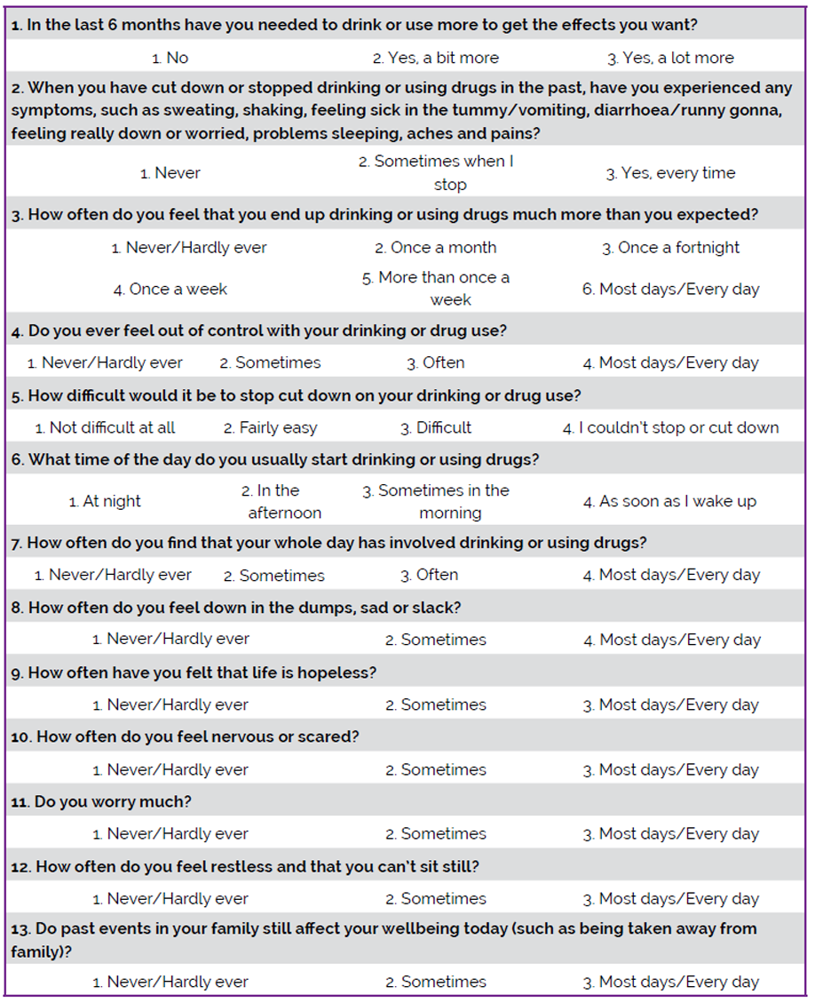 Appendix P: Indigenous Risk Impact Screener (IRIS)